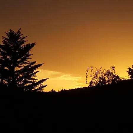 Einenkel * 자이펜